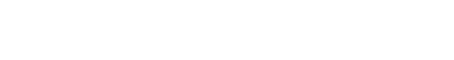 Zeevogel