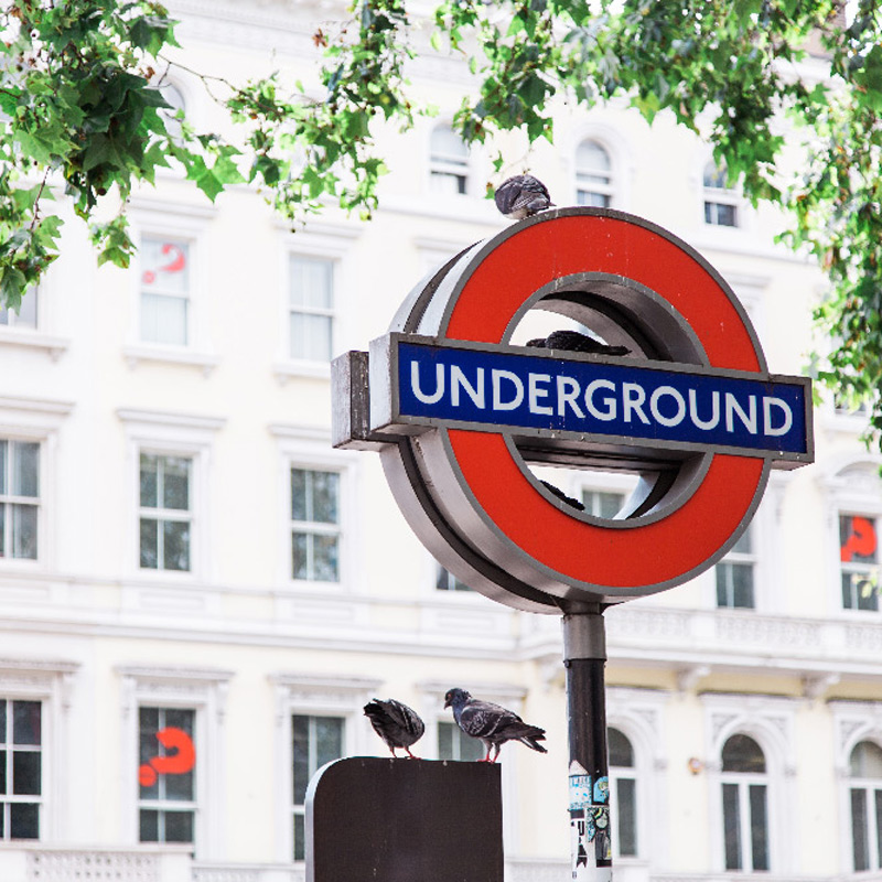 Underground sign next to two pigeons