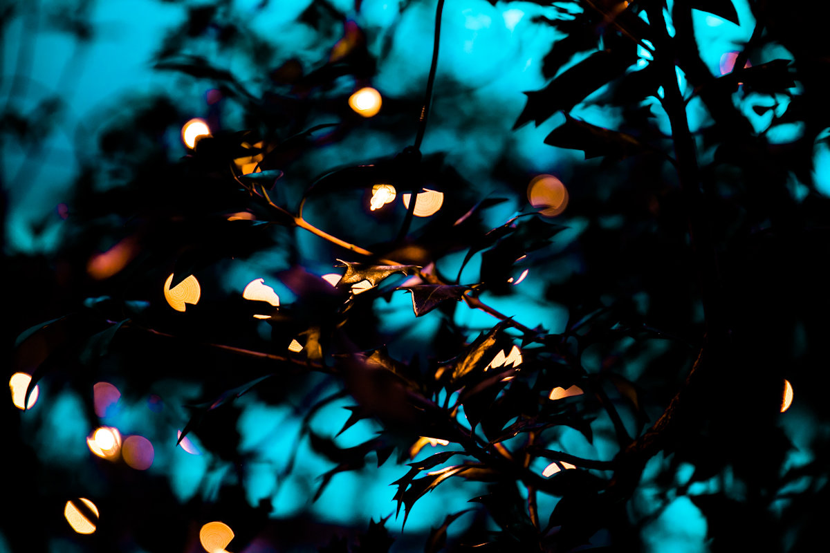 Twinkle lights