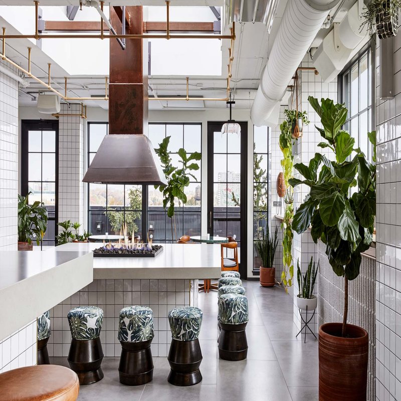 Interior of Tope in Portland with sunlight pouring through large windows onto gleaming white surfaces.